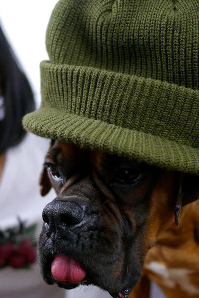 Snack - alive jeep visor beanie - olive green