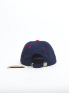 Ace trucks mfg - sand lot 6 pannel strap back - red white blue - cap