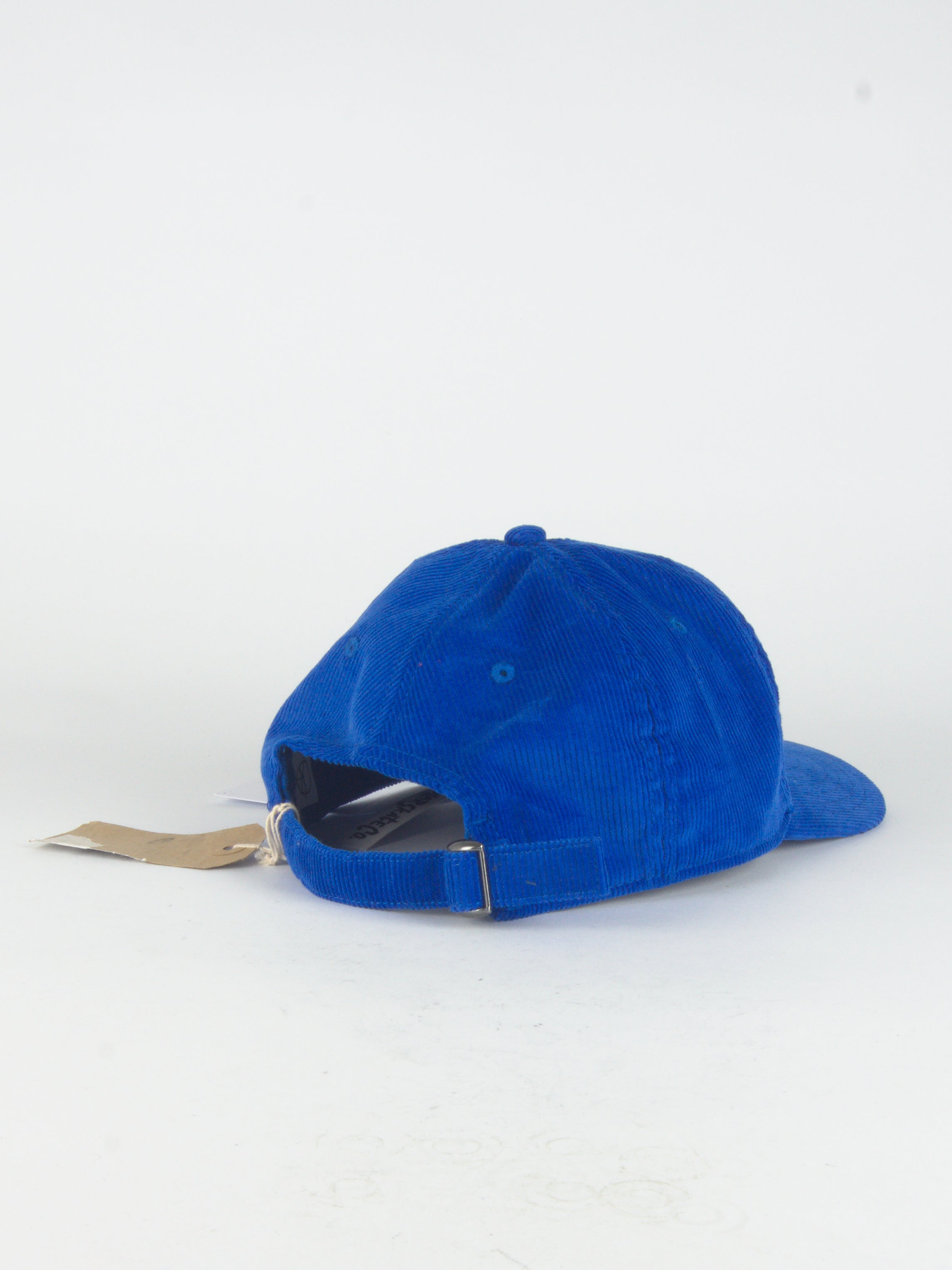 Polar skate co - james cap | shy bow - blue