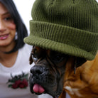 Snack - alive jeep visor beanie - olive green