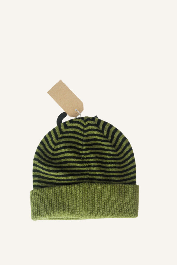 Striped green and black winter beanie with a folded brim.