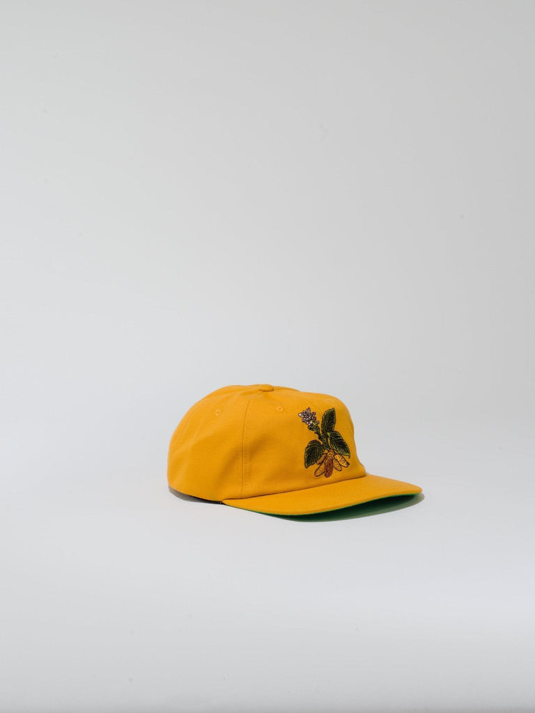 Snack Skateboards - Turmeric - Strap Back - Yellow Hats Fast Shipping