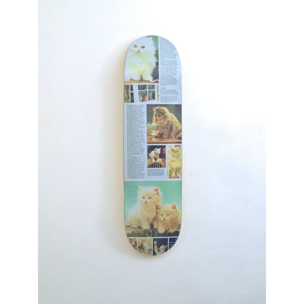 Studio Skateboards - ’curiosity’ - Studio’s Cat Book - 8.25 x 32.00 - Skateboard Deck Decks Fast Shipping